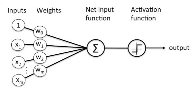 Perceptron